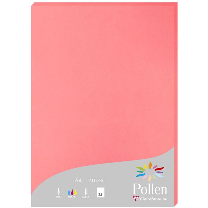 25 feuilles de papier Pollen, DIN A4, 210g litchi