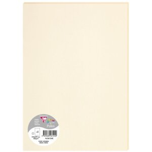 5 feuilles de pollen A4 120 g - ivoire