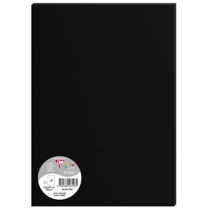 5 feuilles de pollen DIN A4 120 g - noir