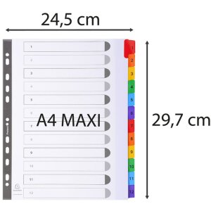 Exacompta Répertoire DIN A4 12 onglets Carton 160 g Organisation de bureau