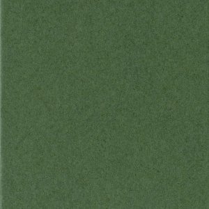 HNFD Passe-partout 18x24 cm - 13x18 cm Verdone (Vert)