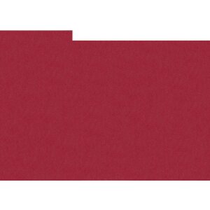 HNFD 20 intercalaires Rosso Cardinale pour boîtes à photos 10x15 cm