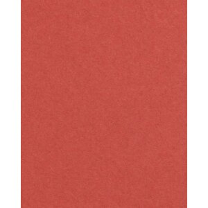 HNFD 20 intercalaires Rosso Veneziano pour boîtes à photos 10x15 cm