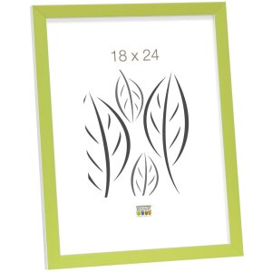 Cadre photo vert et blanc en bois 20,0 x30,0 cm S43AL