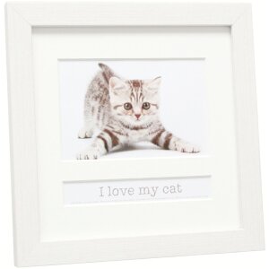 Cadre animalier Deknudt chat 10x15 cm blanc