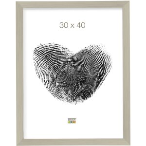 Cadre photo S41VD4 argent Plastique 20,0 x25,0 cm