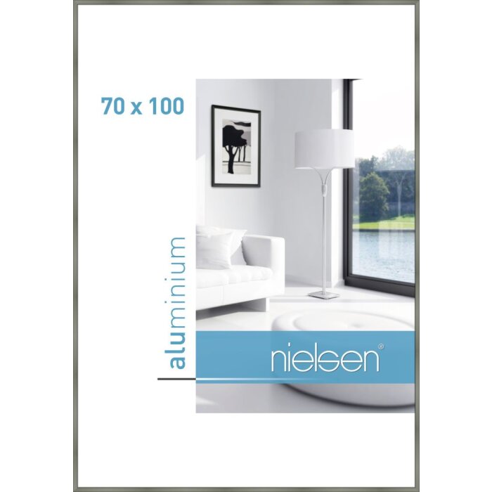 Cadre alu Nielsen Classic platine 70x100 cm