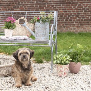 Clayre & Eef 5RO0388 Lit pour chien 74x57x19 cm Gris...