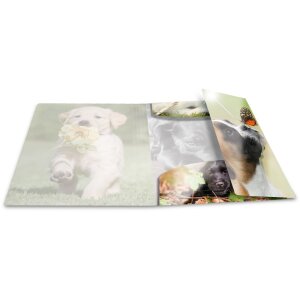 Chemise Herma Glossy Animaux A4 PP Chiens