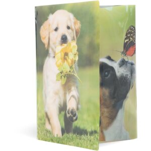 Chemise Herma Glossy Animaux A4 PP Chiens