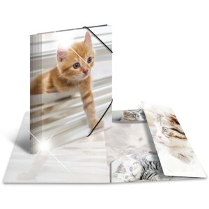 Herma Chemise Glossy Animaux A4 PP Chats