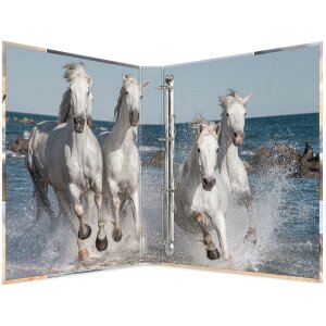 Classeur à anneaux Herma A4 carton 4D chevaux