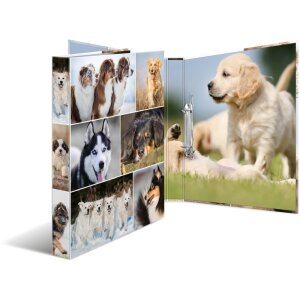 Classeur à anneaux Herma A4 carton 2D chiens