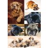 Herma DECOR Autocollants DECOR Chiens