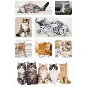 Herma DECOR Autocollants chatons