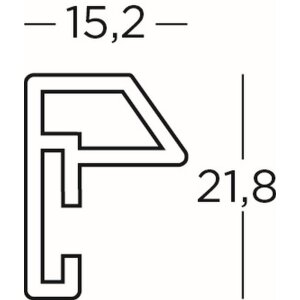 Walther cadre plastique Steel Style 20x20 cm or avec passe-partout 15x15 cm