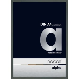 Cadre photo aluminium Nielsen Alpha 21x29,7 cm platine