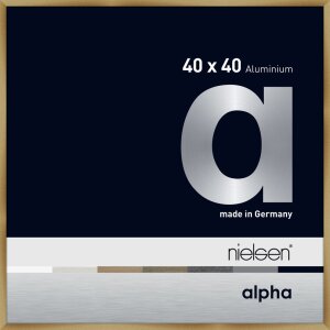 Nielsen aluminium cadre photo Alpha 40x40 cm brushed amber