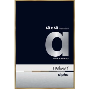 Nielsen aluminium cadre photo Alpha 40x60 cm brushed amber