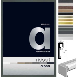 Cadre photo aluminium Nielsen Alpha