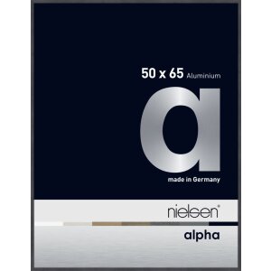 Cadre photo aluminium Nielsen Alpha TCSC 50x65 cm gris