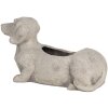 Clayre & Eef 6TE0305 Pot de fleurs Intérieur 24x9x13 cm Gris Chien