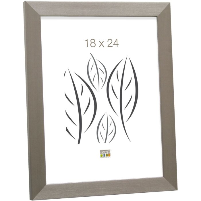 Cadre plastique S41VD1 argent 10x15 cm verre antireflet