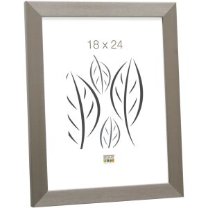 Cadre plastique S41VD1 argent 13x18 cm verre antireflet