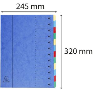 Exacompta Classeur 12 compartiments A4 Harmonika bleu