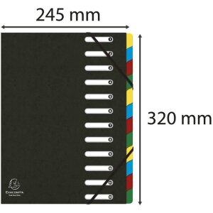 Exacompta Classeur à anneaux HARMONIKA élastique Colorspan 12 compartiments A4 noir