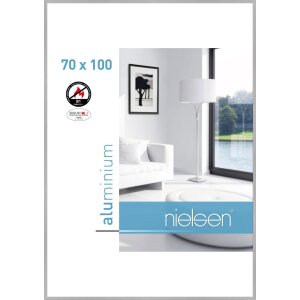 Cadre anti-feu Nielsen C2 structure argent mat 70x100 cm