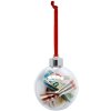 Deknudt Boule de Noël photo S66FJ1 transparent 7,6 x7,6 cm