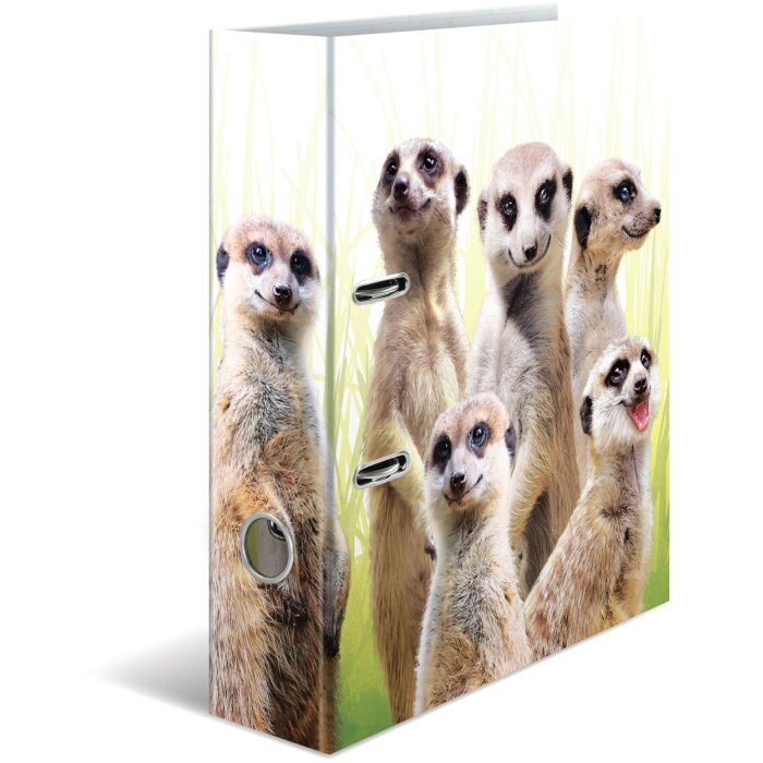 Classeur à motifs HERMA A4 Animaux exotiques - Troupe de suricates