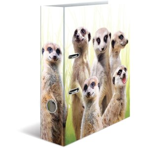 Classeur à motifs HERMA A4 Animaux exotiques -...