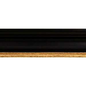 Walther cadre en bois Vigo 42x59,4 cm noir avec bord argenté verre clair