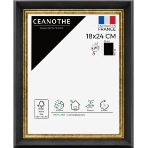 Ceanothe cadre photo Pandore 20x30 cm noir-or