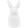 Clayre & Eef 6CE1525 Décoration Statue Lapin 11x11x21 cm Blanc - Or