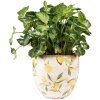 Clayre & Eef 6CE1529M Décoration Pot de fleurs Ø 18x17 cm Jaune