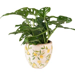 Clayre & Eef 6CE1532S Décoration Pot de fleurs Ø 13x12 cm Jaune