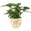 Clayre & Eef 6CE1532S Décoration Pot de fleurs Ø 13x12 cm Jaune