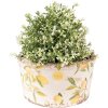 Clayre & Eef 6CE1533M Décoration Pot de fleurs Ø 16x9 cm Jaune