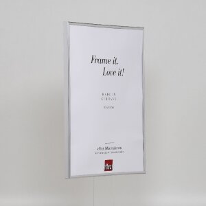 Effect Cadre plastique Art argent 25x60 cm verre clair