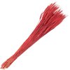 Clayre & Eef 5DF0012 Fleurs séchées dherbe de blé 80 cm (200 gr) rouge