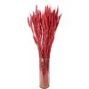 Clayre & Eef 5DF0012 Fleurs séchées dherbe de blé 80 cm (200 gr) rouge