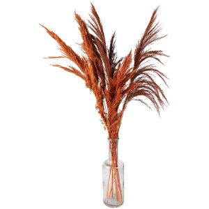 Clayre & Eef 5DF0013 Fleurs séchées bambou 90 cm (10) Orange