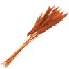 Clayre & Eef 5DF0013 Fleurs séchées bambou 90 cm (10) Orange