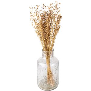 Clayre & Eef 5DF0017 Fleurs séchées 60 cm (100 gr) Beige