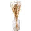 Clayre & Eef 5DF0017 Fleurs séchées 60 cm (100 gr) Beige