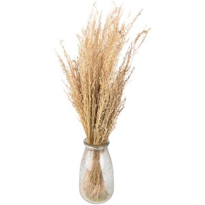 Clayre & Eef 5DF0020 Fleurs séchées 55 cm (100 gr) Beige