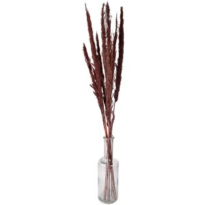 Clayre & Eef 5DF0023 Fleurs séchées 100 cm (10) Marron